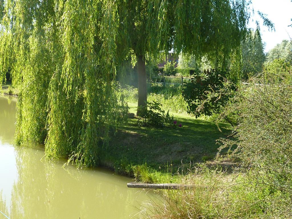 La Parenthese Villa La Couture  Exteriör bild
